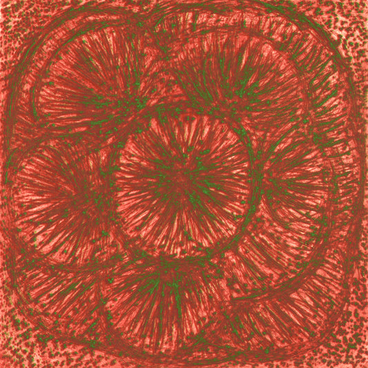 Blomma II