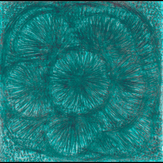 Blomma III