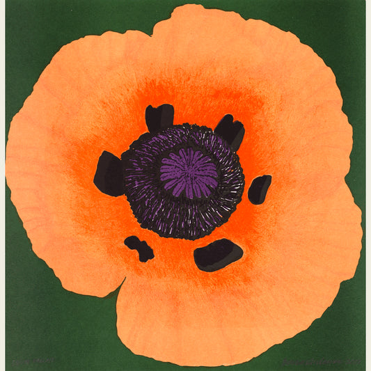 Vallmo (orange)