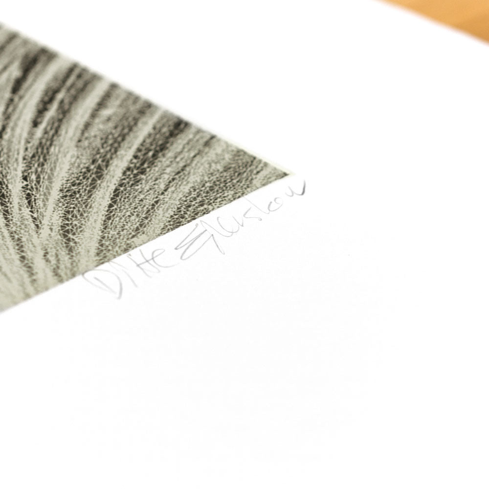 The Mesh Portrait (inverted, grey)