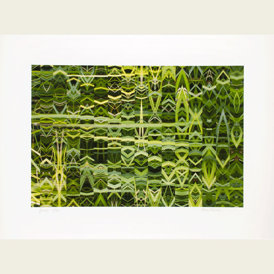 Grass