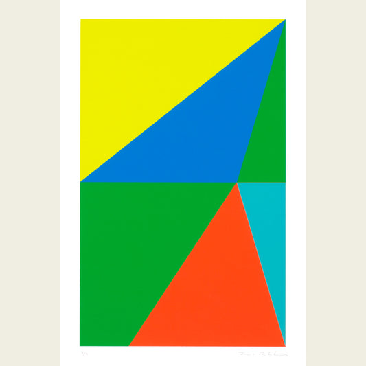 The Flag Project VI