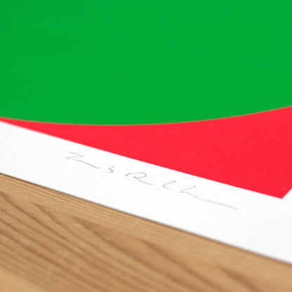 The Flag Project VII
