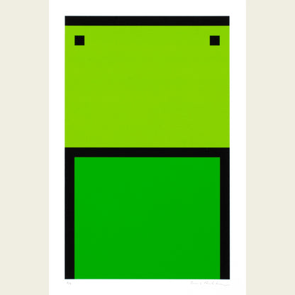 The Flag Project XVI
