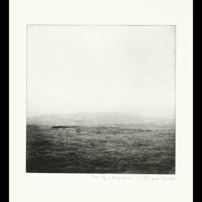 The fog