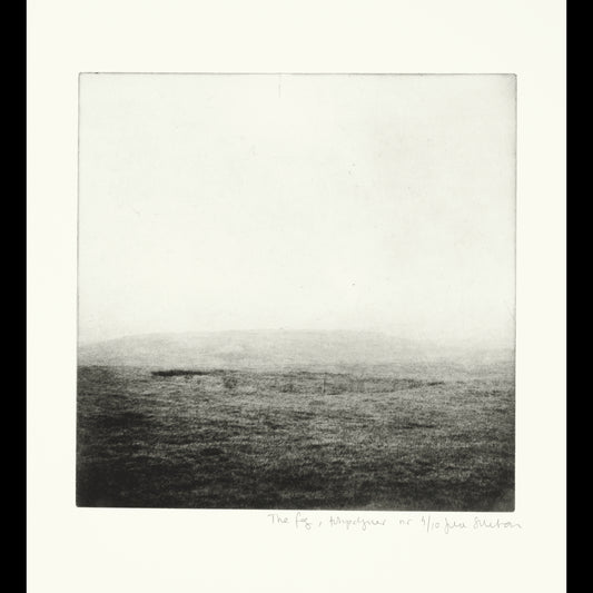 The fog