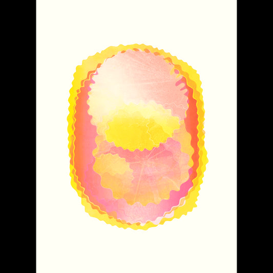 Pink Vibrance III