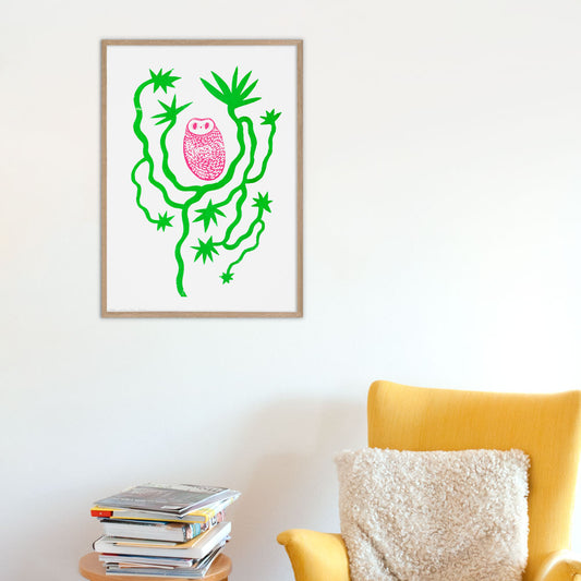 The Aloe Vera Owl