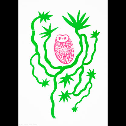The Aloe Vera Owl