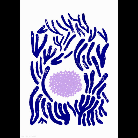 The Coral Hedgehog