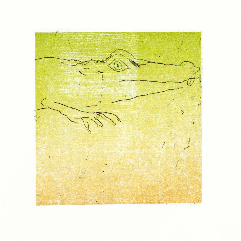 Crocodile Sleep