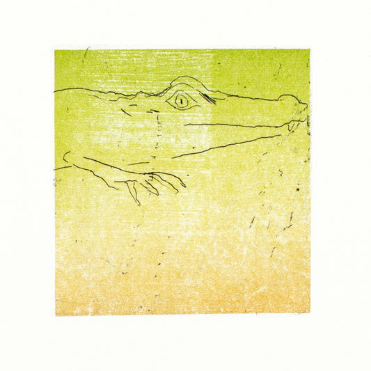Crocodile Sleep