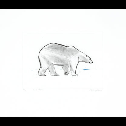 Sea Bear