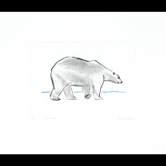 Sea Bear