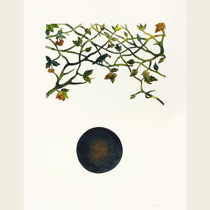 The bird and the berries