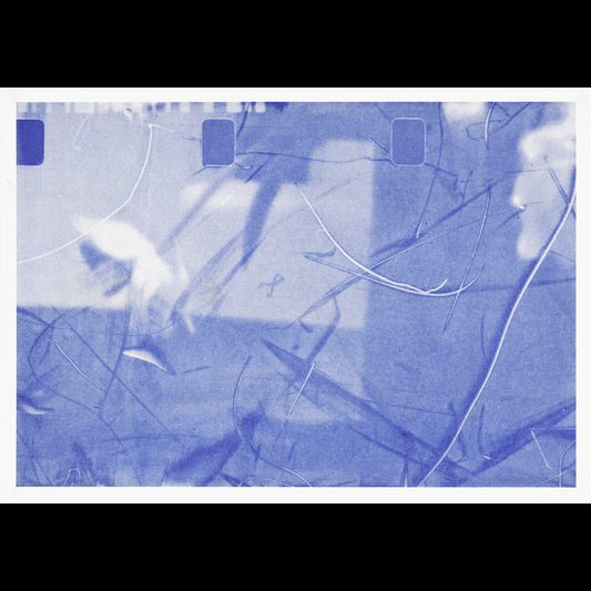 Poems of Decay XVI