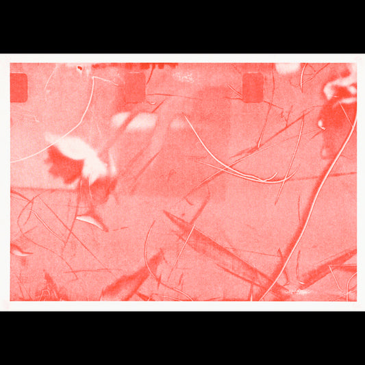 Poems of Decay XVIII