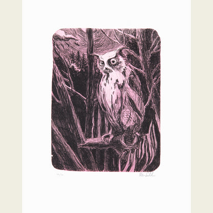 Night Owl