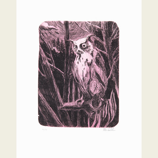 Night Owl