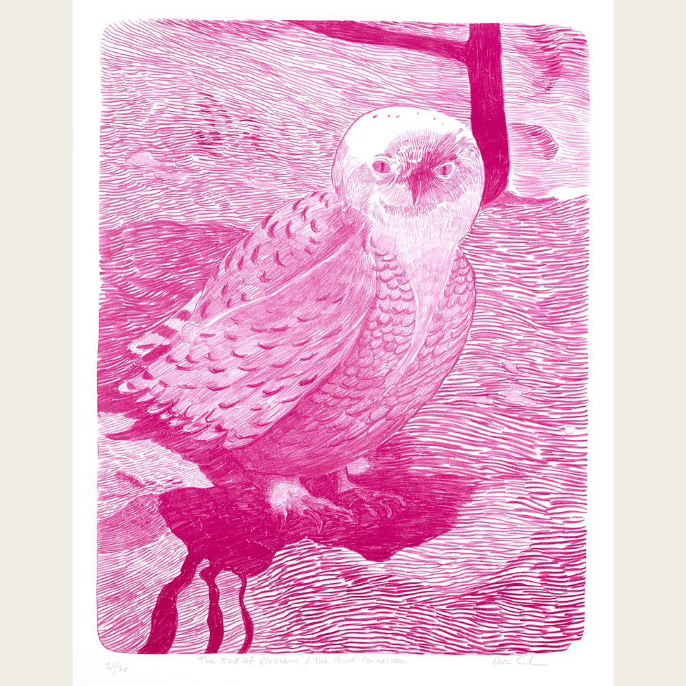 The end of Dinosaurs/The Bird Connection